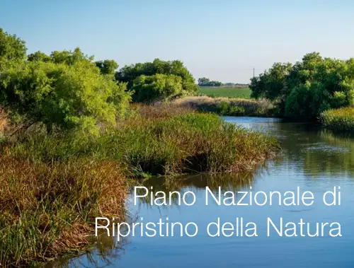 Piano Nazionale di Ripristino della Natura 